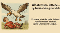 albatros.jpg