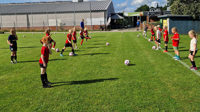 u7-u8p-1.jpg